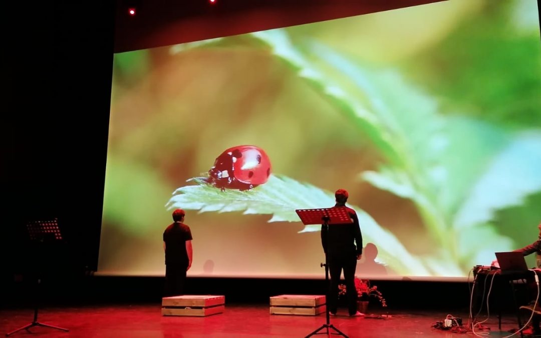 La compagnie QUANTA aux auditions des Jeunesses Musicales de France